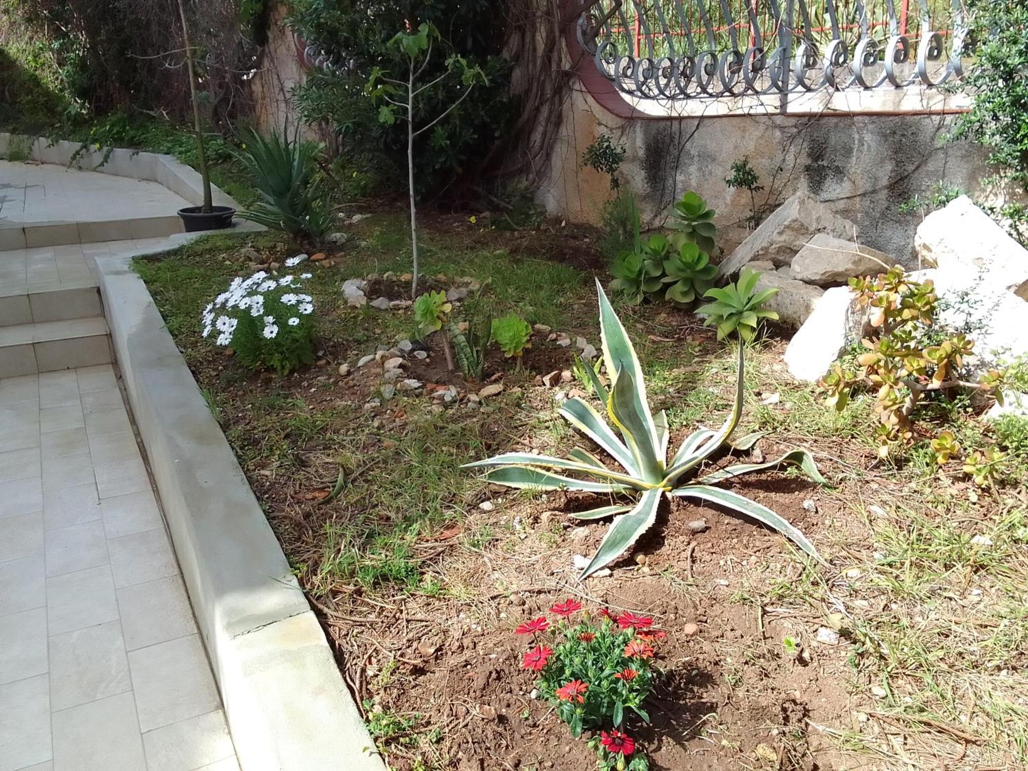 La Casetta Di Rosario Mondello Appartement